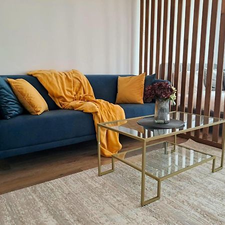 Mountain Breeze Luxury Apartment Ac & Parcare Privata Brasov Bagian luar foto