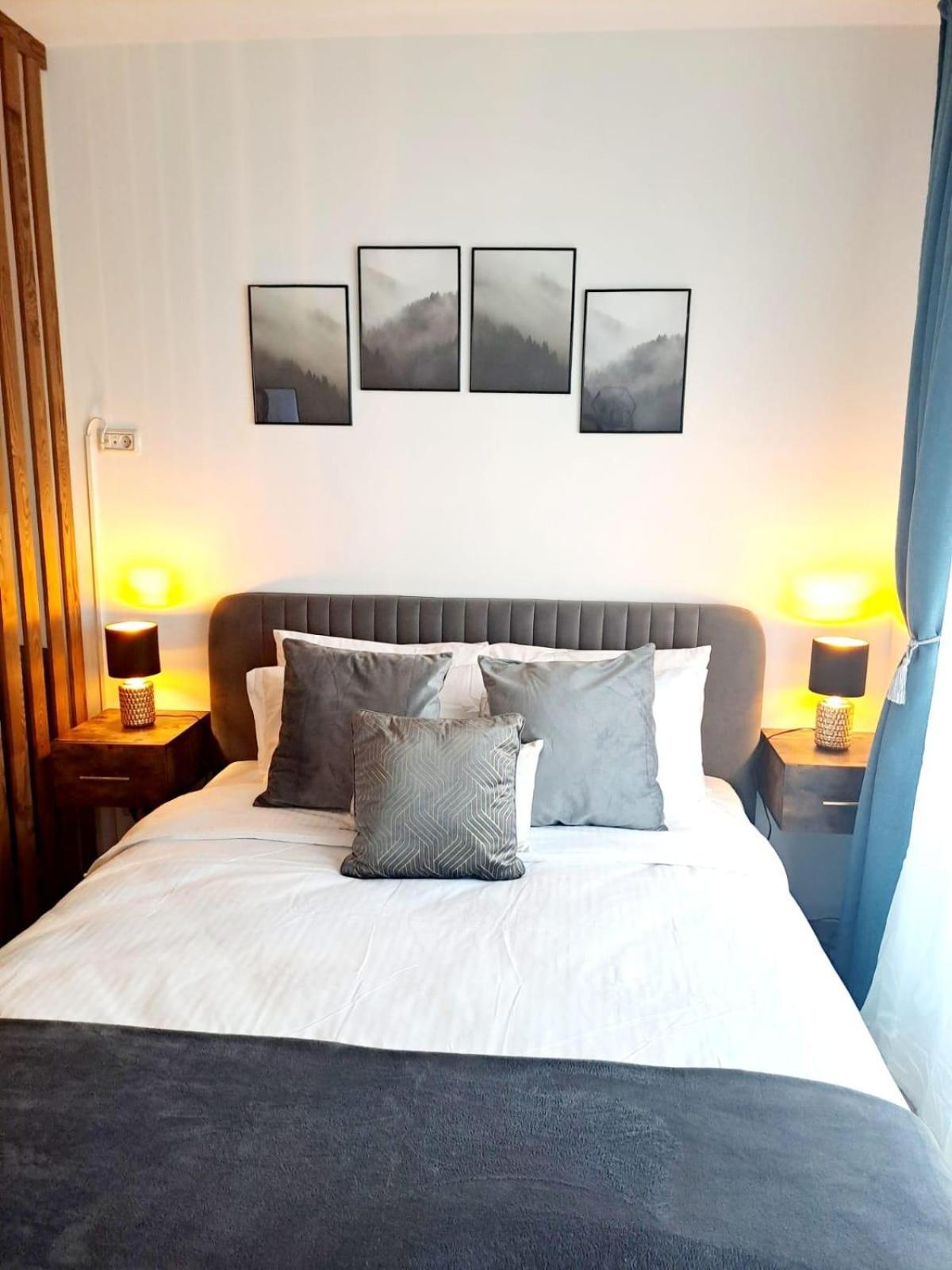 Mountain Breeze Luxury Apartment Ac & Parcare Privata Brasov Bagian luar foto